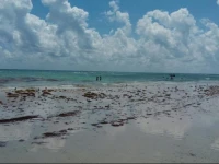 Apartment 5th Ave Playa Del Carmen 