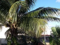 Casa Mayita Lupita 