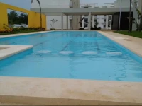 Depa Olivo 