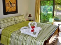 Paseo del Sol by Royal Properties 