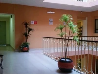 Hotel Posada Guadalupe 