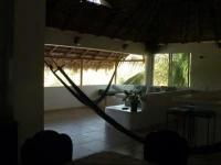 Despacito Palapa 