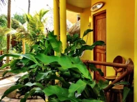 One Love Hostal Puerto Escondido 