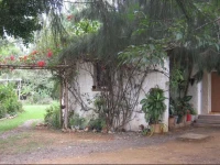 Oasis In Oaxaca 