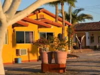 Hotel Las Palmas 3*