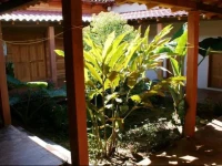 CabaГ±a Santa Cruz Tepetotutla 