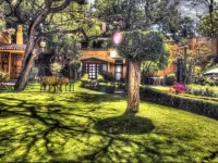 Muuk Hotel Boutique 