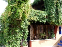 Casa del Guamuchil 