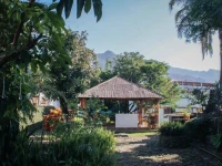 Milcoapa 