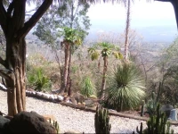 Oasis TepoztlГЎn 