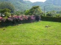 Villa los Agaves, HospederГ­a 