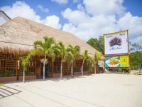 Mestizo Gallery 