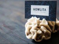 Hotel Howlita 