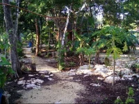 Quintana Roo National Park Campground & Hiking 