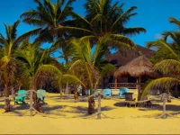 Villa Alquimia 