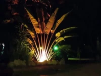 Casa Selva Orquideas 