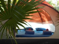 Turquesa Tulum Jungle Camping 