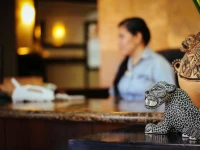 Best Western Palmareca 