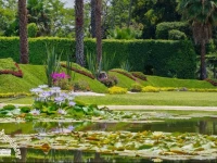 JardГ­n Cerritos Xochitepec 