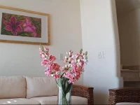 Hotel Estrella de Mar 