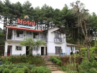 Hotel Mount Paradise 