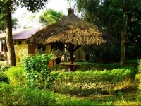 Nature Safari Lodge 