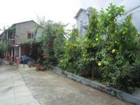 New Annapurna Guest House 