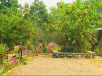 Chitwan Gaida Lodge 