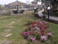 Motherland Resort 