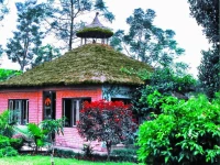 Rainbow Safari Resort 