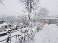 Central Canal Apartments 