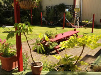 Bazils Backpackers BBH Hostel & Surf Schoo