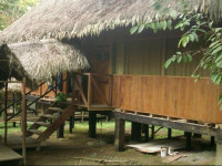 Amazon Eco Tours & Lodge