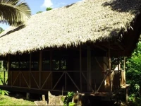 Tambopata Amazon Peru 