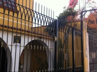 Oro Viejo 