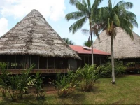 Pacaya Samiria Amazon Lodge 