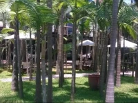 Paraiso Inn 