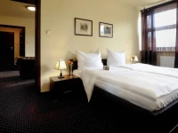 Hotel Diament Spodek 