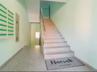 Hamak Apartamenty 