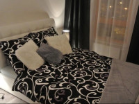 City House Apartamenty - Silver