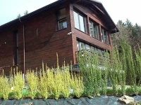 Karolinka Guest House 3*