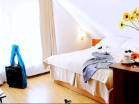 Apartamenty Pod Lwem