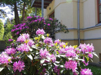 Apartamenty ЕљwinoujЕ›cie - Villa Stil 1