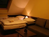 Apartamenty Starka 