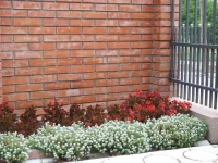 Rooms Villa Anna 4*