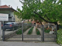 Pansion Velickovic 