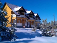 Villa Ducic 4*