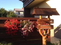 Guest house Fleurs 