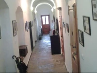 9 Autentico 