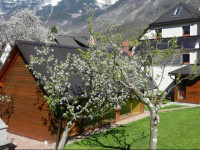 Apartments Mrakic